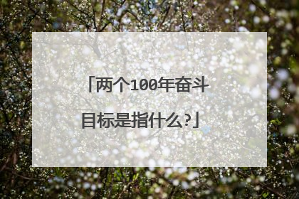两个100年奋斗目标是指什么?