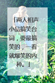 两人相声小品搞笑台词,要最搞笑的,一看就爆笑的内种。