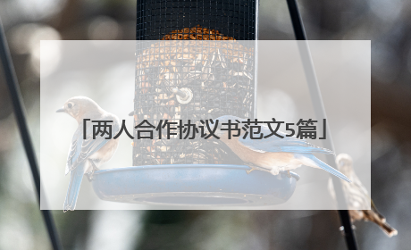 两人合作协议书范文5篇