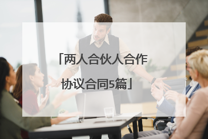 两人合伙人合作协议合同5篇