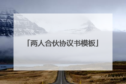 两人合伙协议书模板
