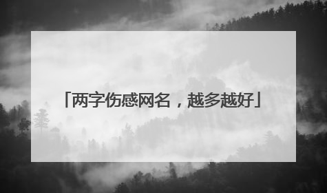 两字伤感网名,越多越好