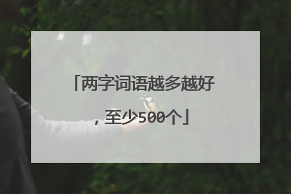 两字词语越多越好,至少500个