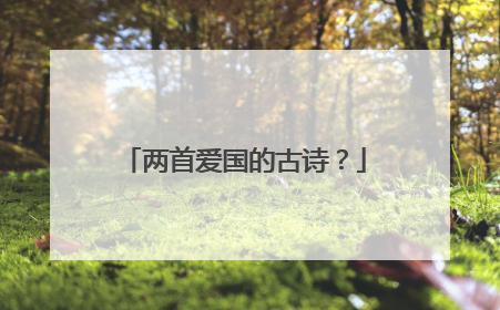 两首爱国的古诗？