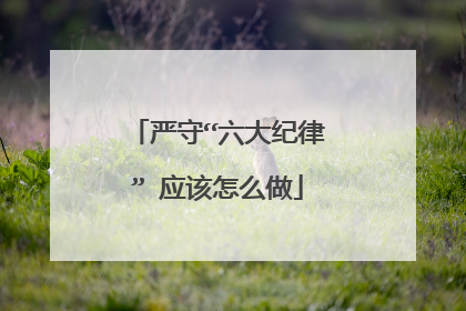 严守“六大纪律” 应该怎么做