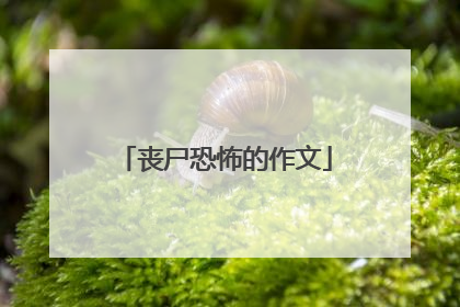 丧尸恐怖的作文