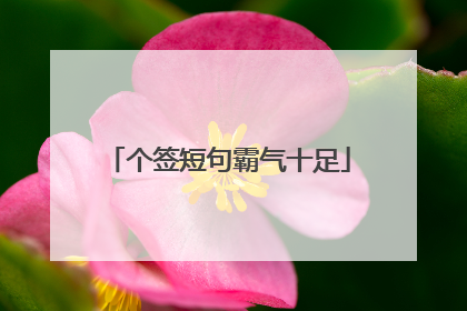 个签短句霸气十足