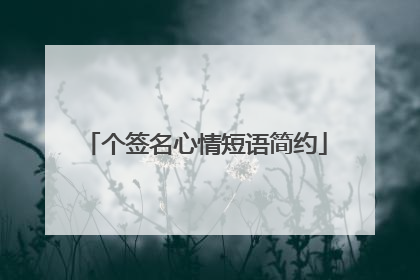 个签名心情短语简约