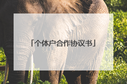 个体户合作协议书