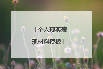 个人现实表现材料模板