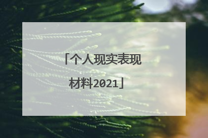 个人现实表现材料2021