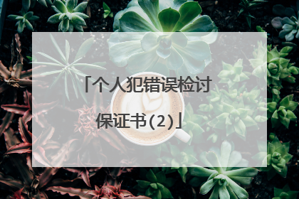 个人犯错误检讨保证书(2)