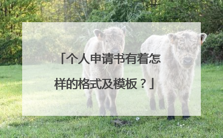 个人申请书有着怎样的格式及模板?