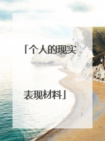 个人的现实表现材料