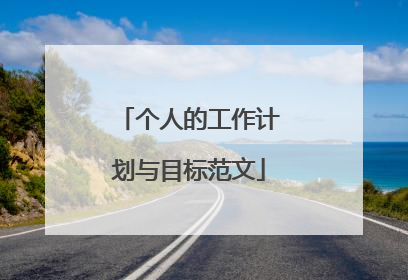 个人的工作计划与目标范文