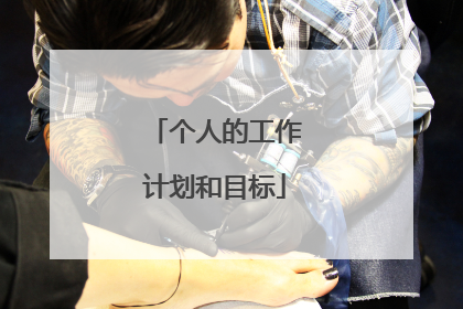 个人的工作计划和目标