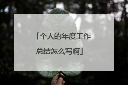 个人的年度工作总结怎么写啊