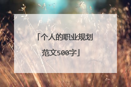 个人的职业规划范文500字