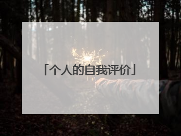 个人的自我评价