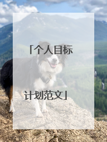 个人目标计划范文