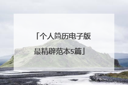 个人简历电子版最精辟范本5篇