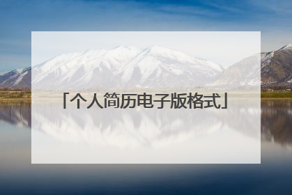 个人简历电子版格式