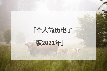 个人简历电子版2021年