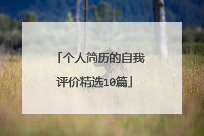 个人简历的自我评价精选10篇