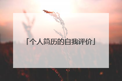 个人简历的自我评价