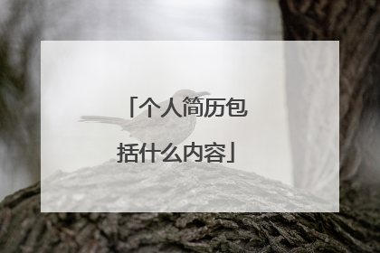 个人简历包括什么内容