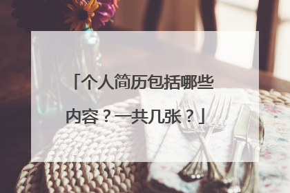 个人简历包括哪些内容?一共几张?