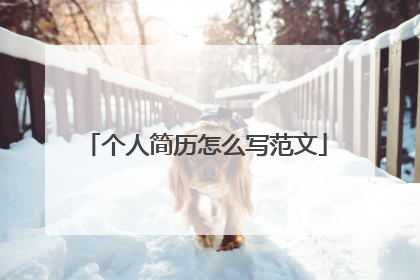 个人简历怎么写范文
