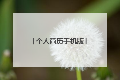 个人简历手机版