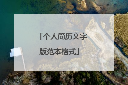 个人简历文字版范本格式