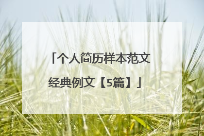 个人简历样本范文经典例文【5篇】