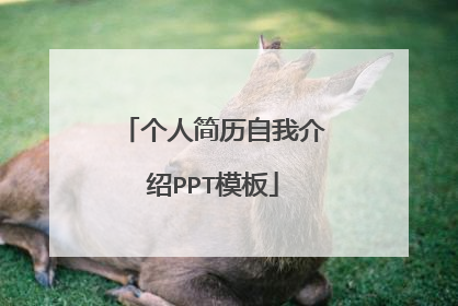 个人简历自我介绍PPT模板