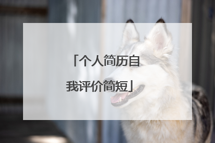 个人简历自我评价简短