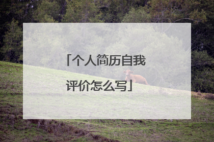 个人简历自我评价怎么写