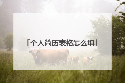 个人简历表格怎么填