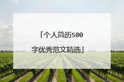 个人简历500字优秀范文精选