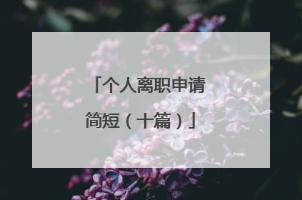 个人离职申请简短(十篇)