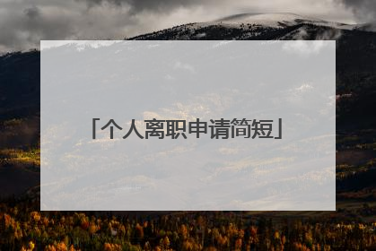 个人离职申请简短