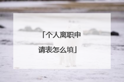 个人离职申请表怎么填