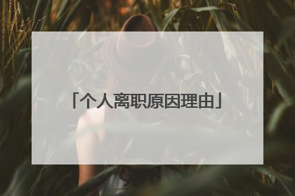 个人离职原因理由