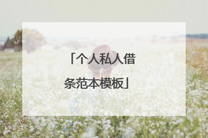 个人私人借条范本模板