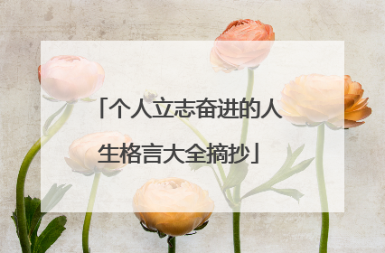 个人立志奋进的人生格言大全摘抄