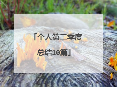 个人第二季度总结10篇