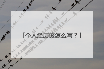 个人经历该怎么写？