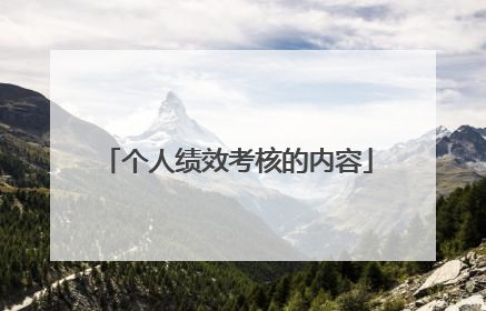 个人绩效考核的内容