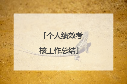个人绩效考核工作总结